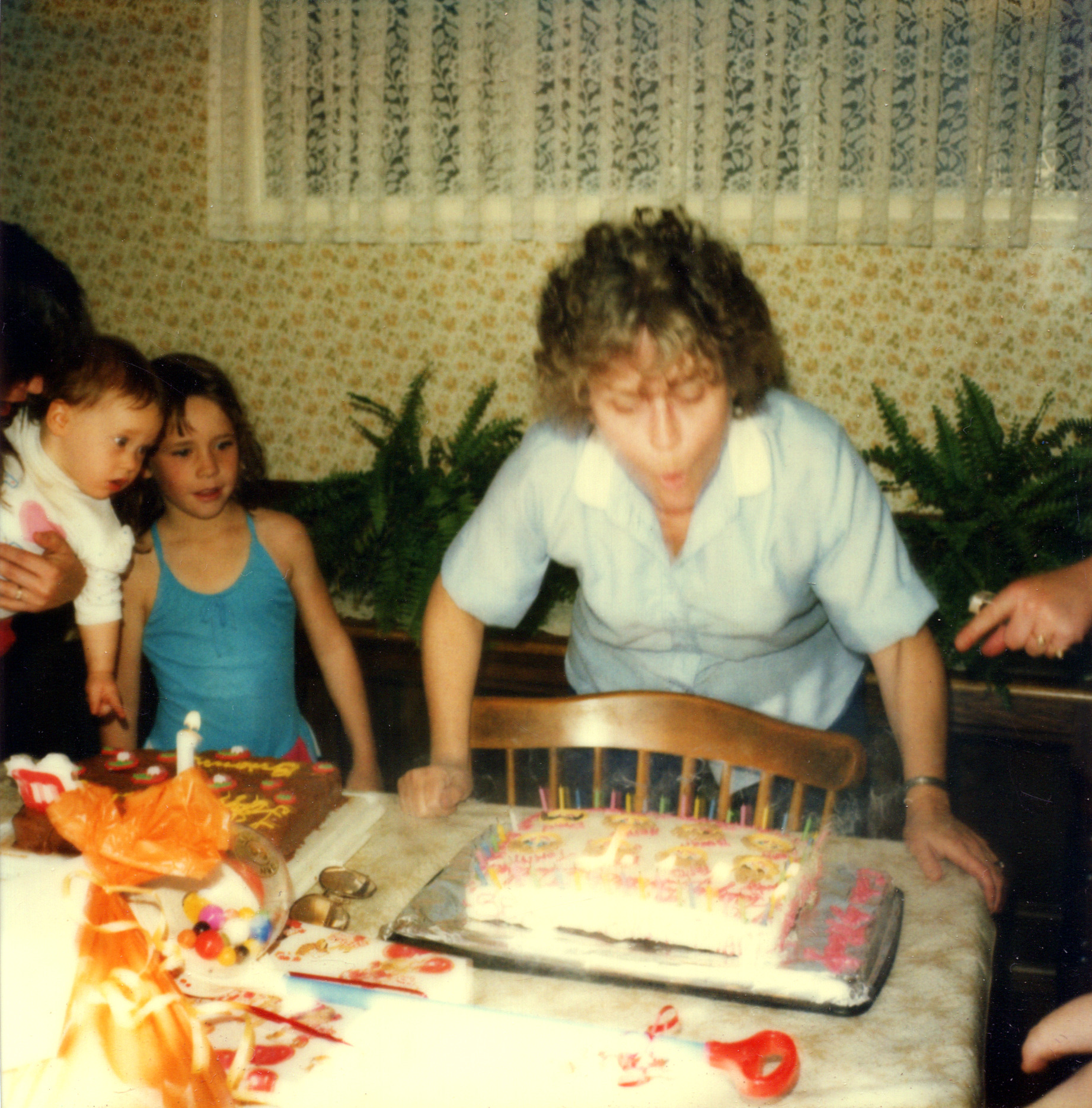 Mom's 49th & Brianne's 1st Birthday - 1984