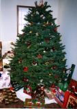 1_Christmas-Tree
