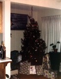 Buddy-Patti-Christmas-Tree-2-0
