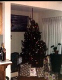 Buddy-Patti-Christmas-Tree-2-1