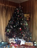 Christmas-Tree-6-0