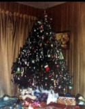 Christmas-Tree-6-1