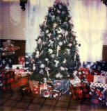 Christmas-Tree-7-0