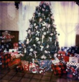 Christmas-Tree-7-1