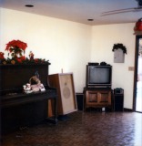 Garage-at-Christmas-11