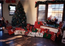 Garage-at-Christmas-15