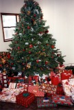 Garage-at-Christmas-19
