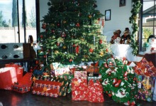 Garage-at-Christmas-2