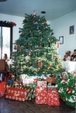 Garage-at-Christmas-3