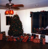 Garage-at-Christmas-9