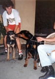 Tom-with-Dogs