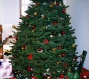 1_Christmas-Tree