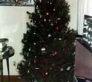 Buddy-Patti-Christmas-Tree-1-0