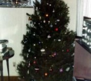 Buddy-Patti-Christmas-Tree-1-1