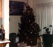 Buddy-Patti-Christmas-Tree-2-0