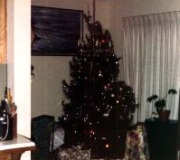 Buddy-Patti-Christmas-Tree-2-1