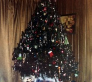 Christmas-Tree-6-0