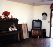 Garage-at-Christmas-11