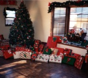 Garage-at-Christmas-15