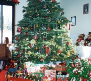 Garage-at-Christmas-3