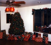 Garage-at-Christmas-9