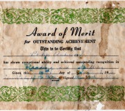 Buddy-Merit-Award-OLV-196-