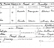 Henry & Jane Phillips Marriage License 01-09-1894