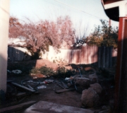 Backyard Before Pool
