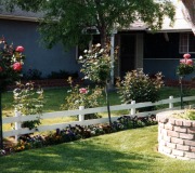 Front-Yard-1