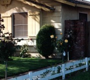 Front-Yard-2