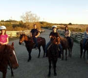 Baylee, Tom, Andrew, Anna & Tami
