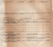 Dad-Evaluation-Report-1981-1