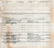 Dad-Evaluation-Report-1984-1