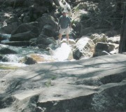 Terry-6