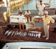 Fish-Haul-1