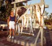 Fish-Haul-2