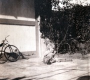 098-Eugene-Jr
