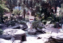 Tom-at-Police-Academy-Waterfalls