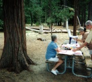 Mom-Anne-Picnic