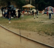Roger-at-Metro-Picnic-2-0