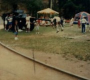 Roger-at-Metro-Picnic-2-1