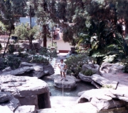 Tom-at-Police-Academy-Waterfalls