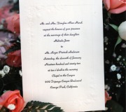 Roger-Mindy-Wedding-1-1