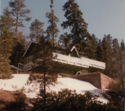 Big Bear Cabin