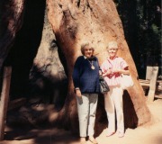 Mom-Anne-at-Redwoods