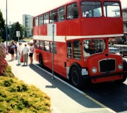 Mom-Sheryl-Doubledecker-Bus