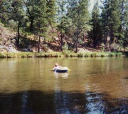 Mom-on-the-Lake-with-Anne-2